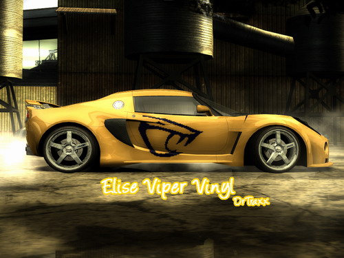 viper_elise1.jpg